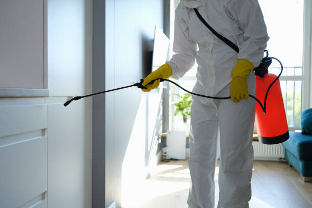 Why You Should Choose Our Mold Remediation Services in Dauphin Island, AL